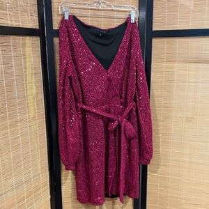 Dynamite Fuchsia Sequin Wrap Dress